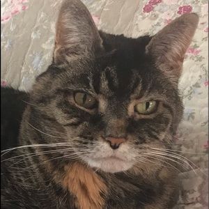 Meet your Posher, Maureen